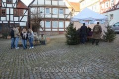 AdventsmarktSpbg-0031