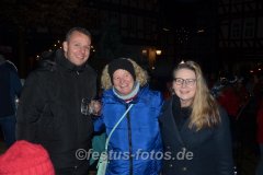 AdventsmarktSpbg-0127