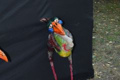 Annotopia24_0229