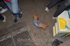 GebBowieMonaCollin25_0099