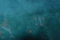 JohannGudiGeb24_0043