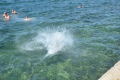 Kroatien25_00231