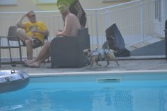 Kroatien25_00797