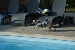 Kroatien25_00800