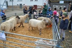 WeihnachtsmarktSpbg_0033