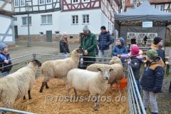 WeihnachtsmarktSpbg_0035