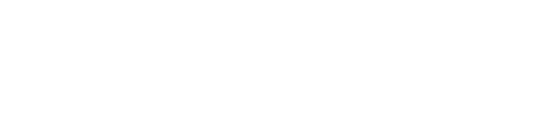 FESTUS FOTOS Logo